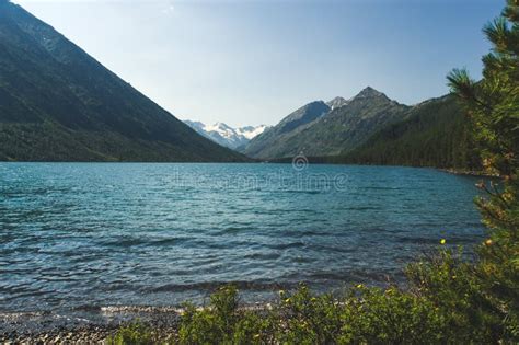 Multinskoe Lake With Crystal Clear Fresh Water Stock Image Image Of