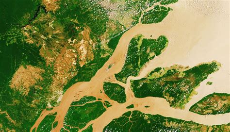 10 Fascinating Facts About The Amazon River
