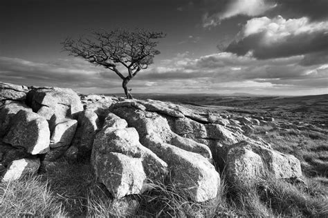 Black And White Yorkshire Dales Landscape Photography David Speight