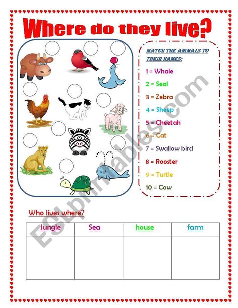 ️where Do They Live Worksheet Free Download