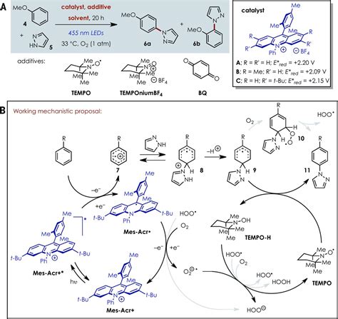 Site Selective Arene C H Amination Via Photoredox Catalysis Science