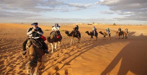 Camel safari morocco ofrece tours y. Pin on Camel Safari in Morocco