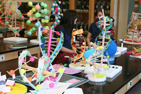 Freshmen Biology Students Create Colorful Models Of Cells And Dna Every