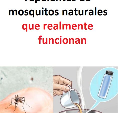 Los Mejores Repelentes De Mosquitos Naturales Que Realmente Funcionan