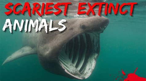 Creepiest Extinct Animals The Most Dangerous Extinct Animals 😨 Youtube