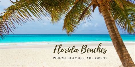 Check spelling or type a new query. Which Florida Beaches are Open? | Lakeland Mom
