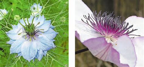 Er schafft sich in einem garten seine eigene welt voller betörender formen, farben und. Der geheimnisvolle Garten - Lebensräume - CH Medien