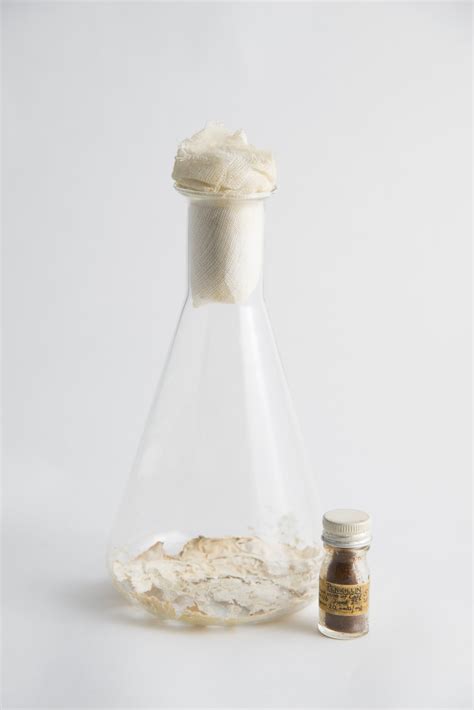 Dec 10, 2020 · penicillin is an antibiotic used to treat certain types of bacterial infections. Penicillin Culture and Specimen - Back From The Dead