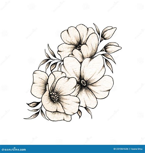 Vintage Flower Bouquet Hand Drawn Botanical Illustration With Line Art
