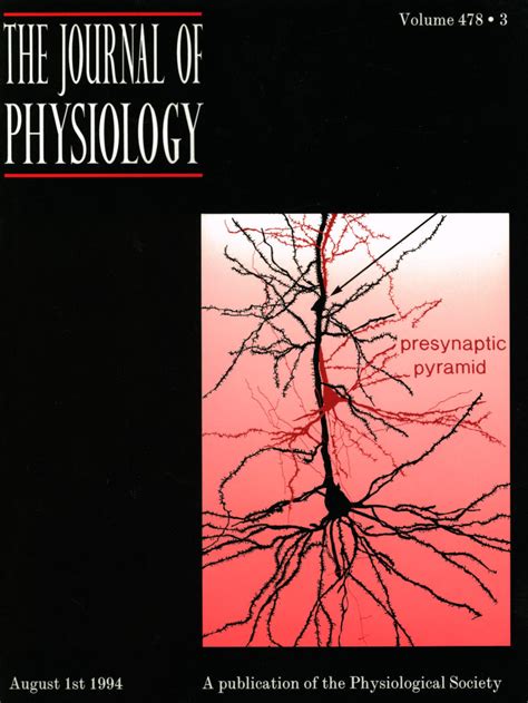 Exercise Physiology Articles Pdf - evermarketplace