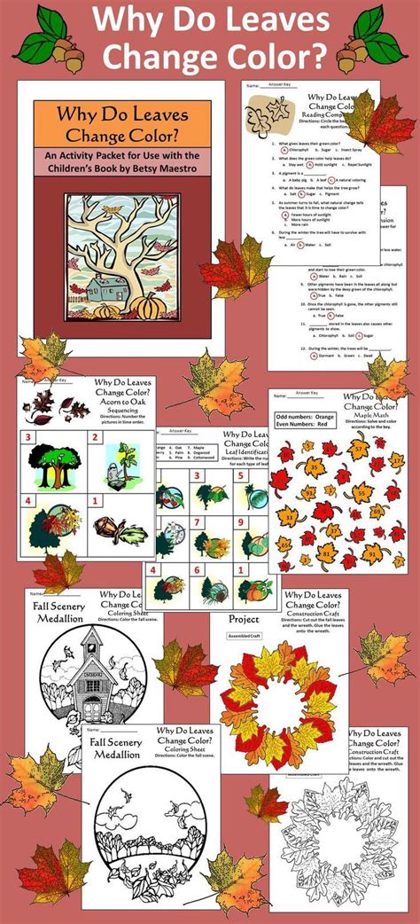 Leaves Activities: Why Do Leaves Change Color in The Fall Activity