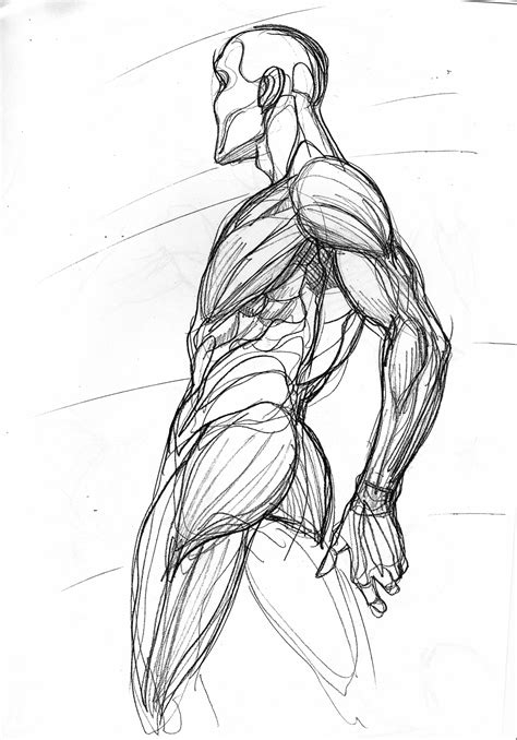 The human body normally has two kidneys. Human Body Anatomy Sketch at PaintingValley.com | Explore ...