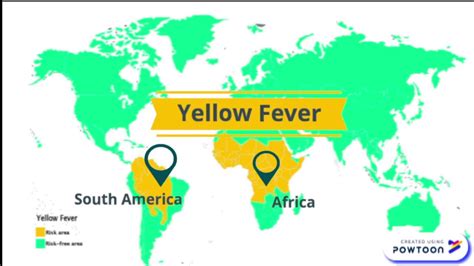 yellow fever youtube