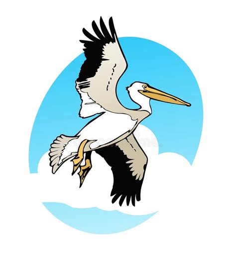 Pelican Flying Stock Vector Illustration Of Design Daytime 91332925