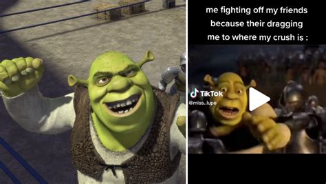 Shrek Fighting Knights Know Your Meme