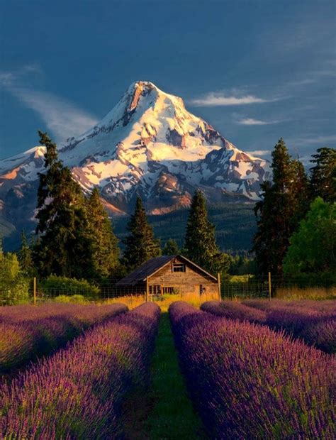 𝔰𝔥𝔢𝔯𝔟𝔢𝔞𝔯 In 2020 Nature Scenery Oregon Travel