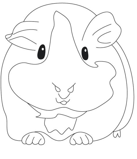 Click on the coloring page to open in a new window and print. Cute Guinea Pig Coloring Pages at GetDrawings | Free download