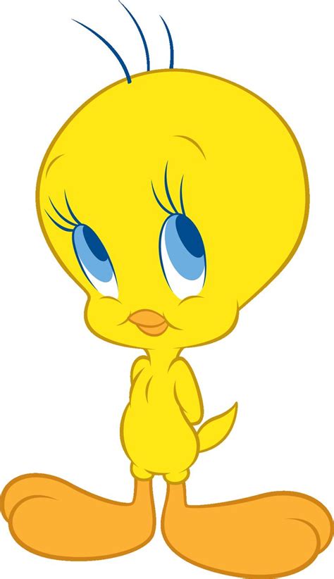 Best 25 Tweety Ideas On Pinterest One Saturday Morning Cartoons And