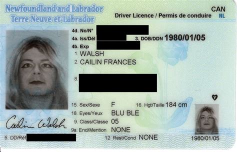¿cómo Obtener Una Licencia De Conducir En Canadá ¿cómo Cambiar Tu