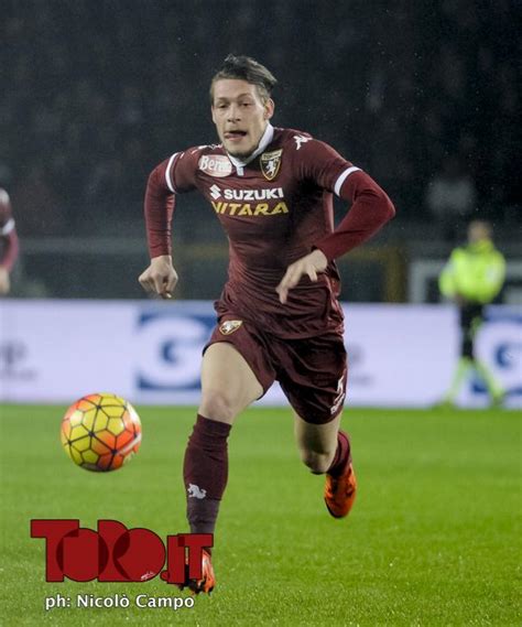143,036 likes · 52 talking about this. Toro, Belotti torna a Bergamo con il dente avvelenato ...