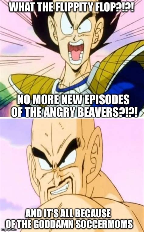 Only people who watch dragonball z abridged will understand that first part. Dragon Ball Z Meme#1 by CartoonAnimes4Ever on DeviantArt