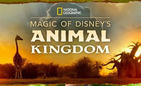 Disney To Debut Magic Of Disneys Animal Kingdom From National