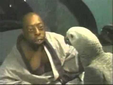 Beetlejuice green black guy on tiktok. who is BeetleJuice - YouTube