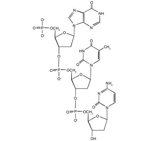 We did not find results for: Nucleic Acid Structure