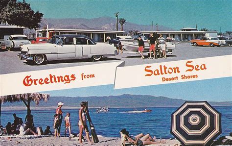 Greetings From Salton Sea Desert Shores Postcard 1950s Lakes In