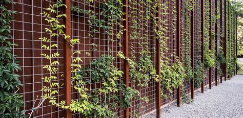 2015 Asla Professional Awards Small Space Gardening Fence Design