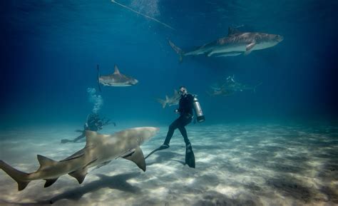 Coral Key Scuba And Travel Denver