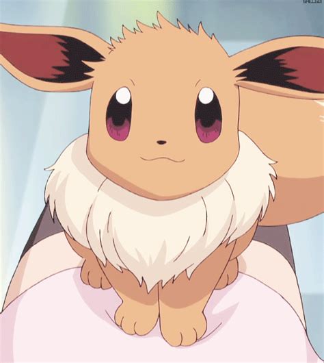 Eevee Is Miserable With Science Pokémon Amino