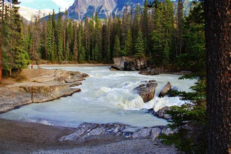 The Athabasca River Alberta Stock Image Image Of Resort Park 78881403