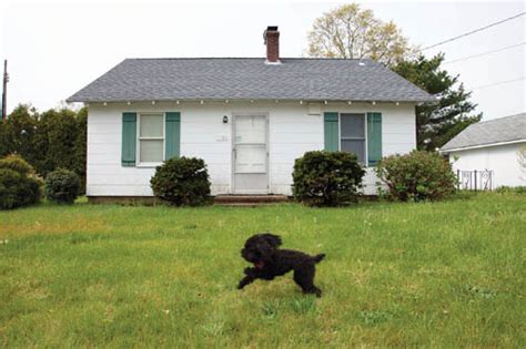 From coast to coast, vacasa has the perfect beach retreat waiting for you and your dog. Real Estate: Are pet-friendly North Fork rentals on the ...
