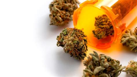 over half of parkinson s patients say cannabis provides clinical benefits news analytical