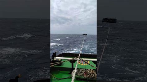 Check spelling or type a new query. Keras nya kehidupan di laut,, sampai terombang ambing di ...