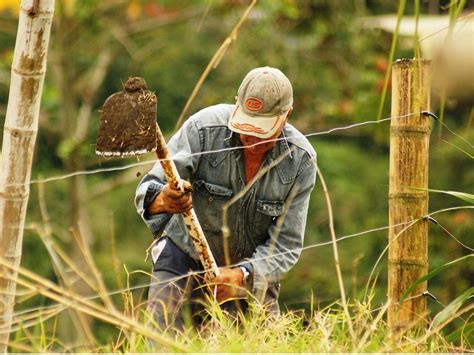 Cómo Se Les Garantizara A Los Campesinos Que Viven En Municipios Pdet