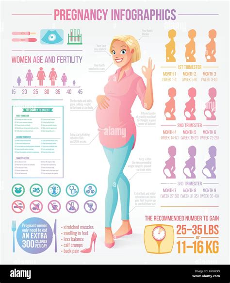 pregnancy infographics set with beautiful and healthy pregnant woman showing ok sign gesture