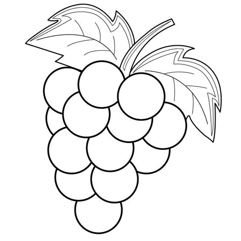 1.9 gambar buah buahan (jambu batu). Gambar Mewarnai Buah-buahan