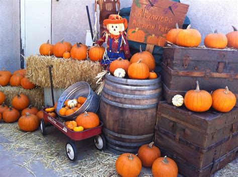 Pumpkin patch birthday party. | Birthday Inspiration | Pinterest