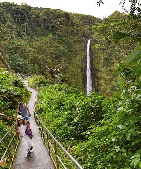 A Family Friendly Hike to Akaka Falls Hawaii - Amor for Travel | Akaka