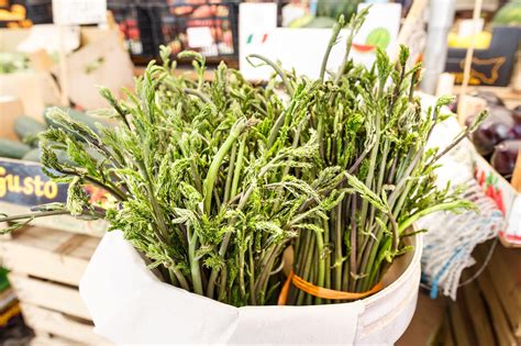 Cucuzza squash, known for its extreme length, can grow anywhere from fifteen inches to three feet in length and can be upwards of three inches in diameter. Mercato di Ballarò / Palermo, Italien - Kochgenossen