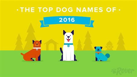 Most Popular Dog Names Of 2016 They Are Not What We Expected