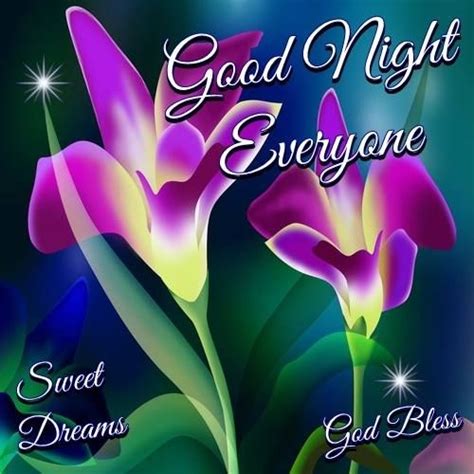 Good Night Everyone Pictures Photos And Images For