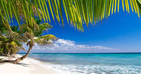 Fondos De Pantalla De Playas Del Caribe Fondosmil