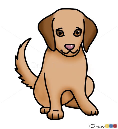 How To Draw Dog Kids Draw