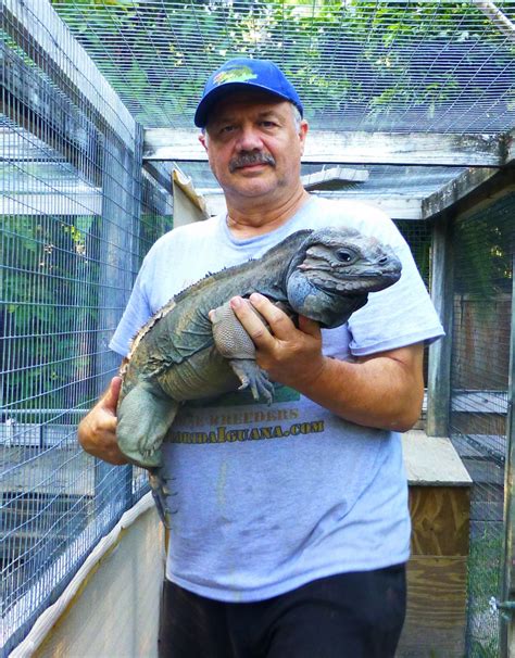 Some of these include various breeds of dogs, cats, birds and more exotic pets such as iguanas and snakes. Rhino - Florida Iguana & Tortoise Breeders