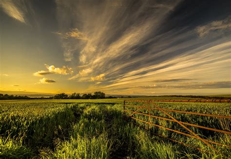 7680x4320 Resolution Field Grass Fence 8k Wallpaper Wallpapers Den