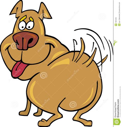 Happy Dog Royalty Free Stock Image Image 7387246