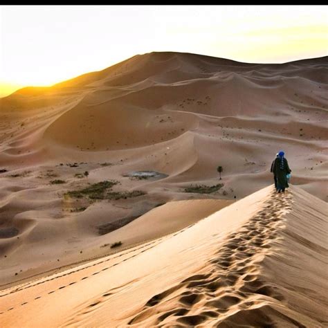 Sahara Desertmorocco We Complain About Driving A Long Way To Pick